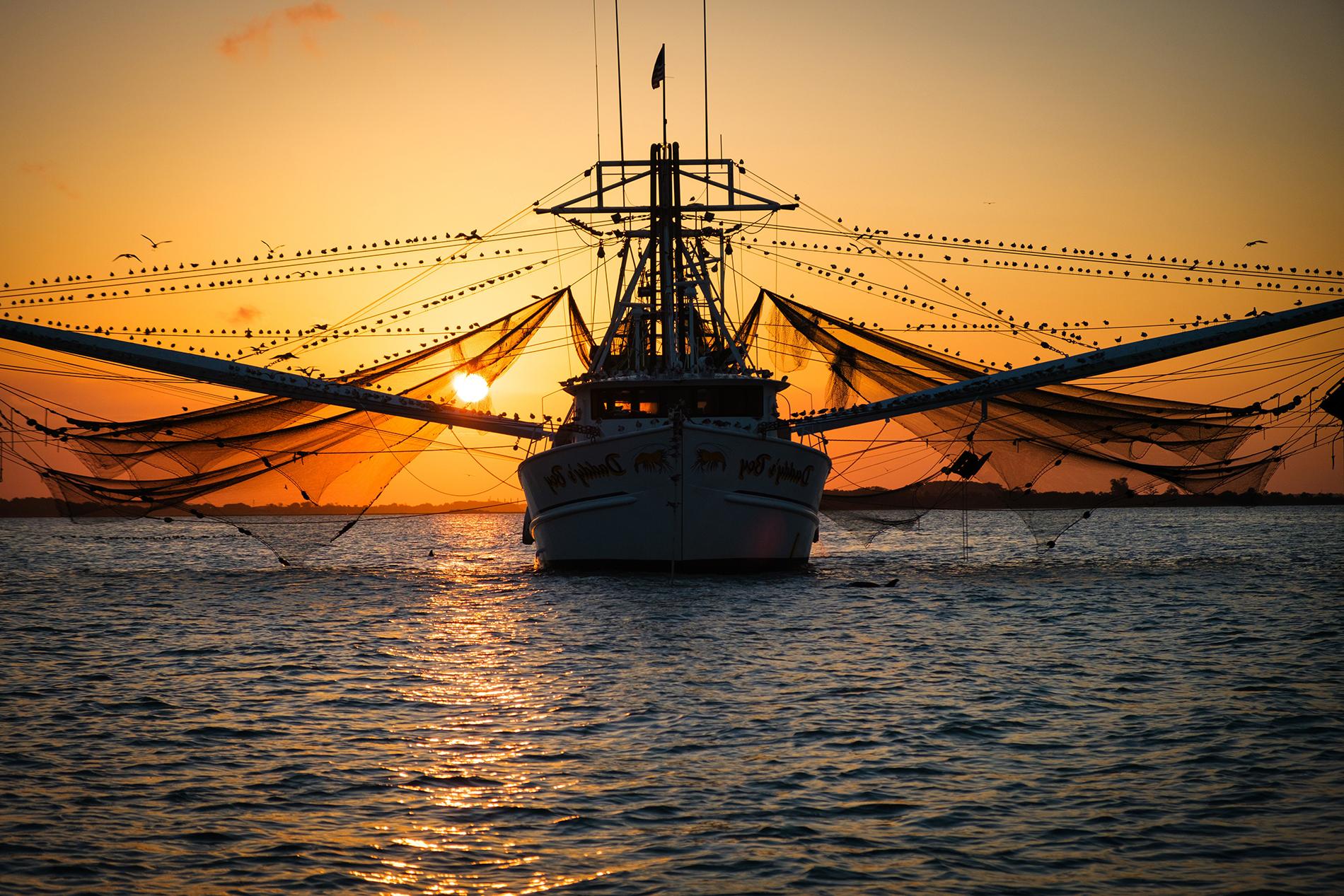 Plaquemines Parish Assessor - Shrimp Boat At Sunset